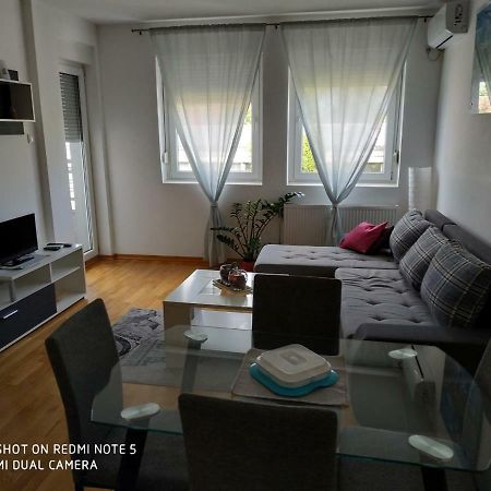 Apartment Jelena Zrenjanin Esterno foto